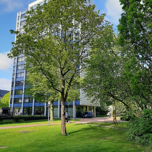 Audio-Tour 01: Esplanade mit Gustav-Mahler-Park (Hamburg Stadtteile im Wandel -Die Neustadt)           