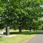 Historic Tour of Linton: Walk 2