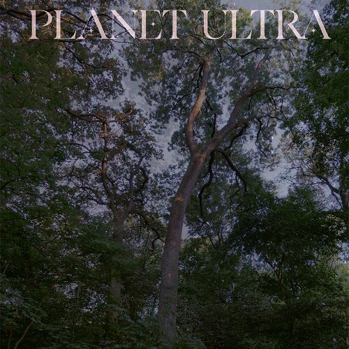 Planet Ultra - Ein Audiowalk über Fledermäuse