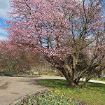 Ein Spaziergang durch Berg am Laim