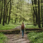 Pfad der Begegnung - Nationalpark Hainich