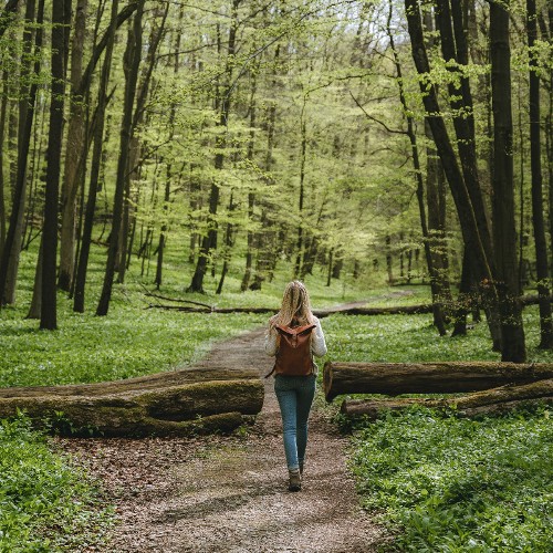 Pfad der Begegnung - Nationalpark Hainich