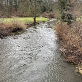 Urge to Merge (deutsch)