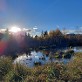 "Das Moor lebt" Audiowalk durch das Werdensteiner Moos