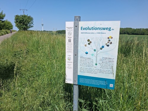 Der Evolutionsweg Braunschweig mit Start beim Urknall