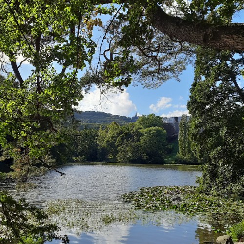 Erfrischende Tour durch die Wilhelmshöhe von Kassel